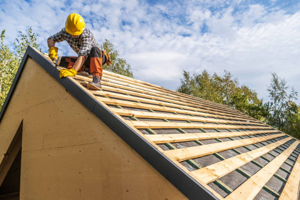 Gutter Installation and Roofing in Millen, GA